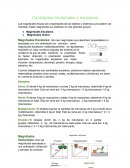 Cantidades vectoriales y escalares