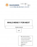 Programación WHILE-WEND