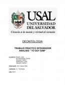 Trabajo practico integrador Analisis “ Yo soy Sam”