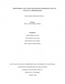 El análisis FODA de Grupo Argos