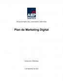 Plan de marketing digital