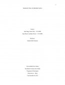 Trabajo final de biomecánica