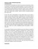 Proyecto: Pueblo originario Mapuches