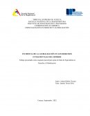 Incidencia de la globalización en los derechos fundamentales del hombre