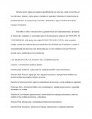 Derecho penal. Las diciplinas que se ocupan de la criminalidad