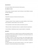 Cerebro ejecutivo y las funciones
