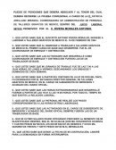 Posiciones laborales