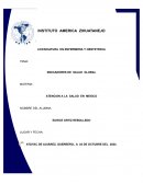 Indicadores de Salud Global