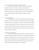 La Lucha Contra la Contaminación: Un Imperativo Global