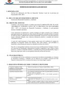 Elaboración del plan de desarrollo turístico local