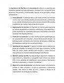 Big Data y la mercadotecnia