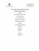 Biología - Trabajos grupales. Catabolismo