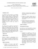 Laboratorio La generación de cargas eléctricas