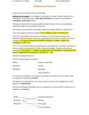 Tecnologia y sus productos