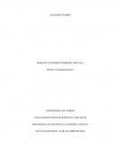 Análisis de la trama y los temas “Chambú”