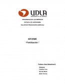 Informe Fertilización. Taller de producción agrícola