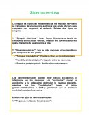 Funciones del Sistema Nervioso