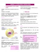 Fisiopatologia, citologia e histologia