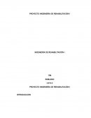Proyecto ingeniería de rehabilitación
