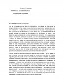 Mi experiencia en la escuela