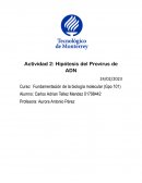 Actividad 2: Hipótesis del Provirus de ADN