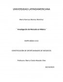 Investigación de mercado en México