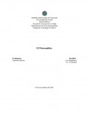 El Psicoanálisis, informe resúmen