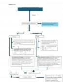 Parcial de metodologia de la investigación