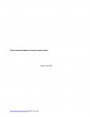 Guía de producción rápida en conucos, huertos y patios