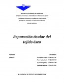 Reparación tisular del tejido óseo