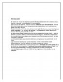 Ensayo del ambiente de la mercadotecnia