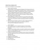 Análisis técnico (Biodigestor de bolsa de globo)