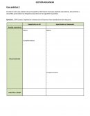 Gestión aduanera. Caso práctico