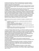 El desarrollo del lenguaje en la infancia