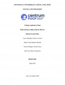 Caso: Empresa Apuesta XYZ