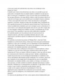 Análisis el pequeño salvaje