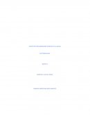 Modelo de Florencia Nightingale