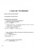 Caso AIC Netbooks