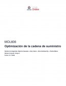 Optimización de la cadena de suministro