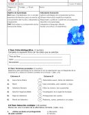Evaluación lectura domiciliaria “La noche del meteorito”