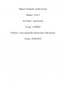 Bloque: Civil I. Actividad: matrimonio