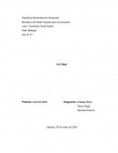 Las Algas Diversidad Morfológica