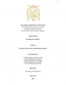 Informe sobre el sector metalmecánica peruano