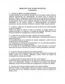 Derecho civil Patria potestad