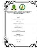 Organización administrativa. Administración pública ecuatoriana