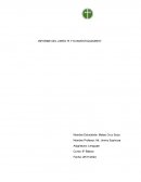 Informe del libro “R y M investigadores”