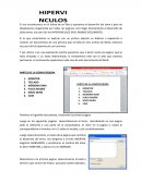 Hipervínculos Manual