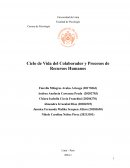 Ciclo de vida del colaborador y procesos de Recursos Humanos