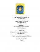 Crianza de porcinos para doble propósito (cría y carne)