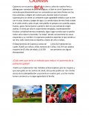 Individuo y medio ambiente